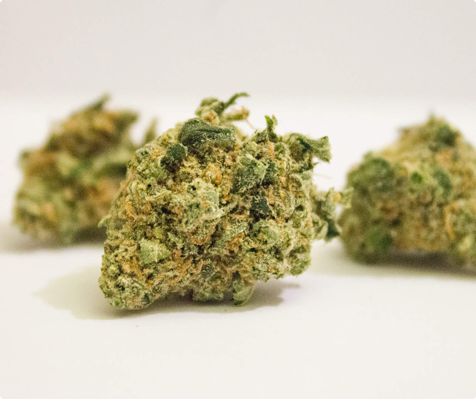 Pink Diablo - Image 2