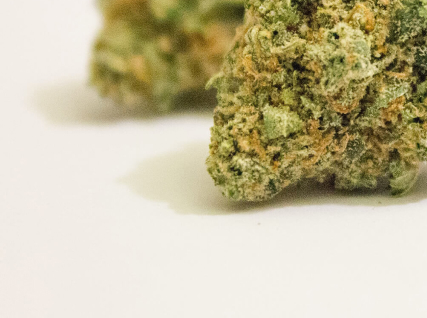 Pink Diablo - Image 4